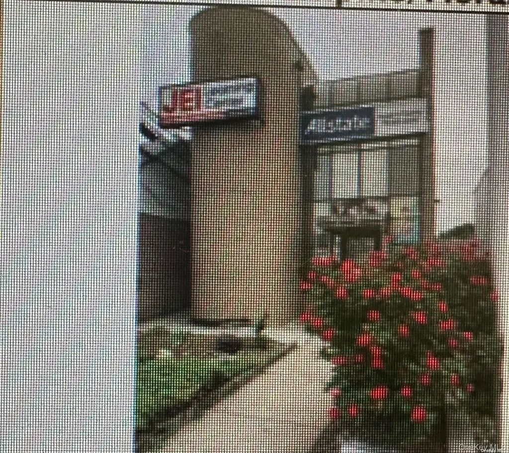 256 - 10 Union Turnpike, Floral Park