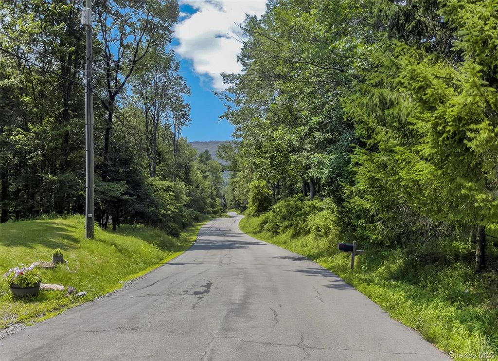 Tdb White Roe Lake Road, Livingston Manor