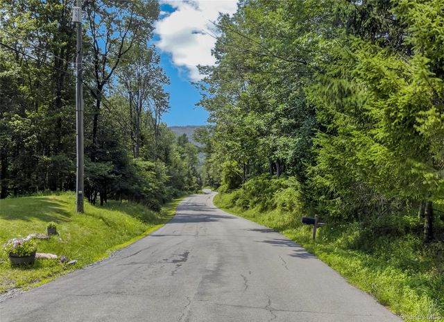 Tdb White Roe Lake Road, Livingston Manor