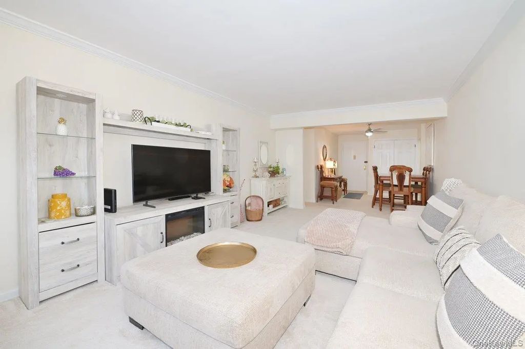 4 Birchwood Court #1o, Mineola