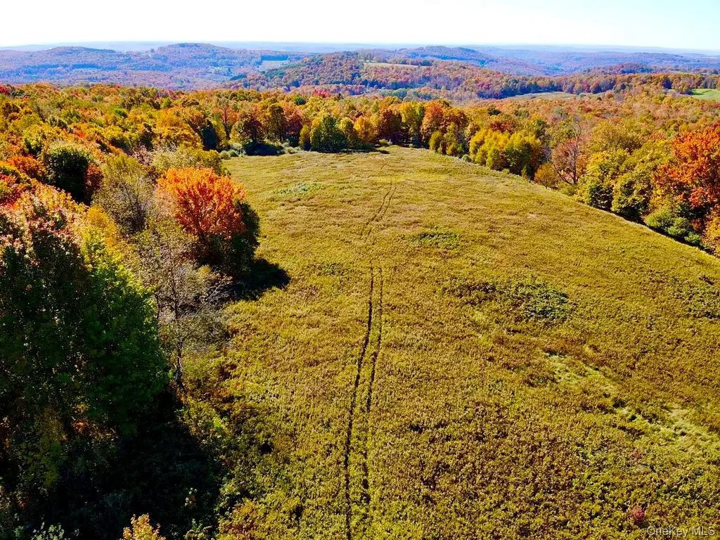 344 Midway Road, Livingston Manor