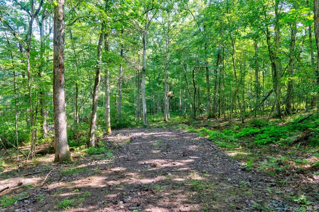Lot 23 Perry Pond Road, Narrowsburg