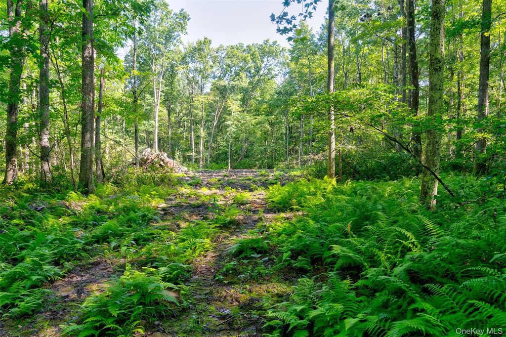 Lot 22 Perry Pond Road, Narrowsburg