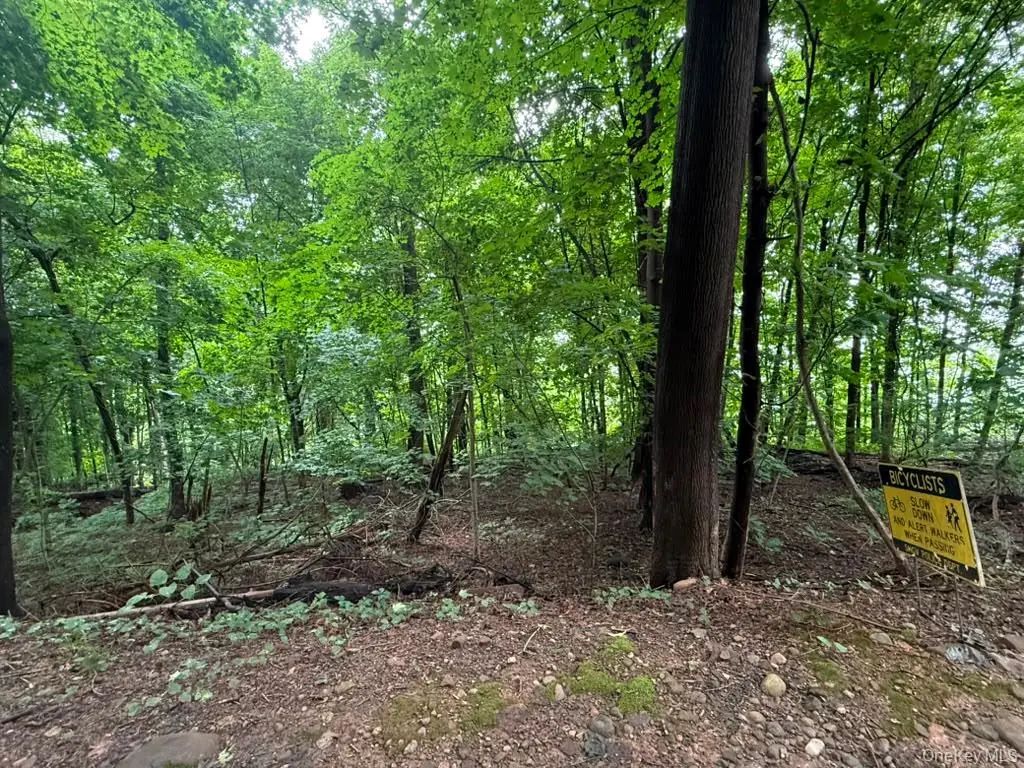 43 River Road, Nyack