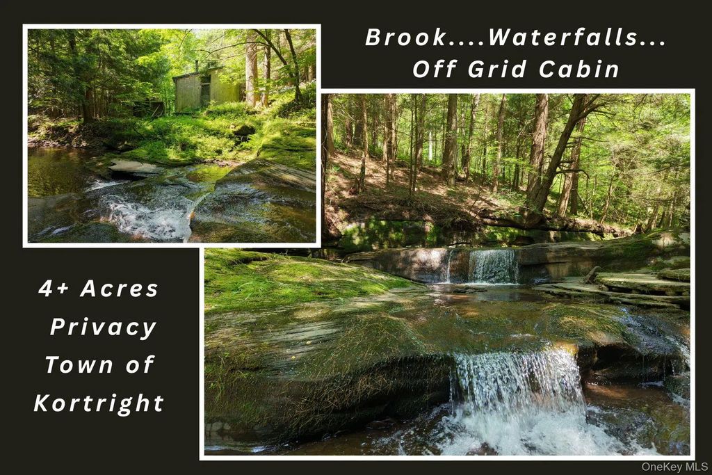 Lot 35 Webster Brook Road, Bloomville