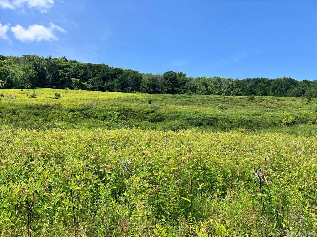 Lot #4 Mountain Road, Port Jervis
