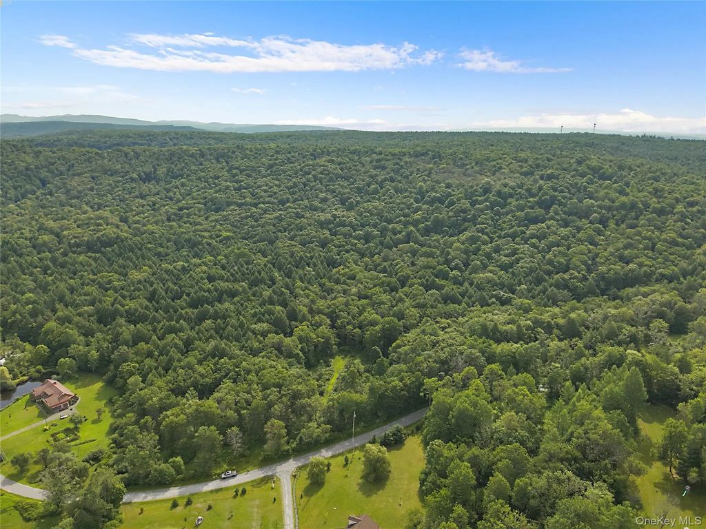 Benton Hollow Road, Livingston Manor