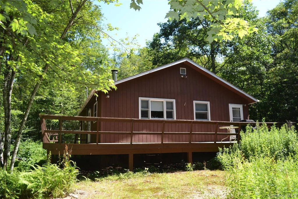 3897 Campbell Mountain Road, Downsville