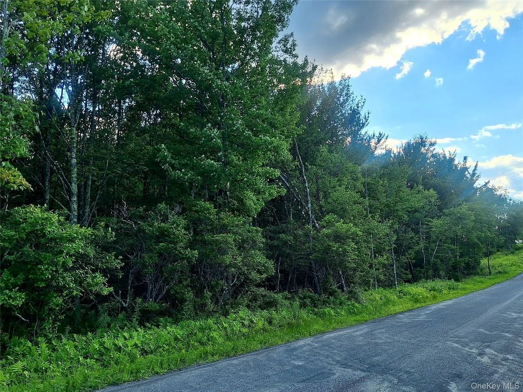 Burnt Ridge Road, Fallsburg