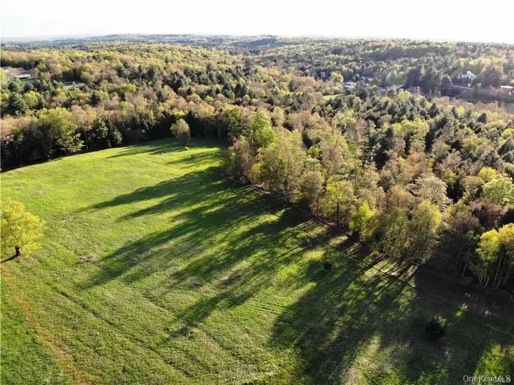 Benmosche Road, Monticello