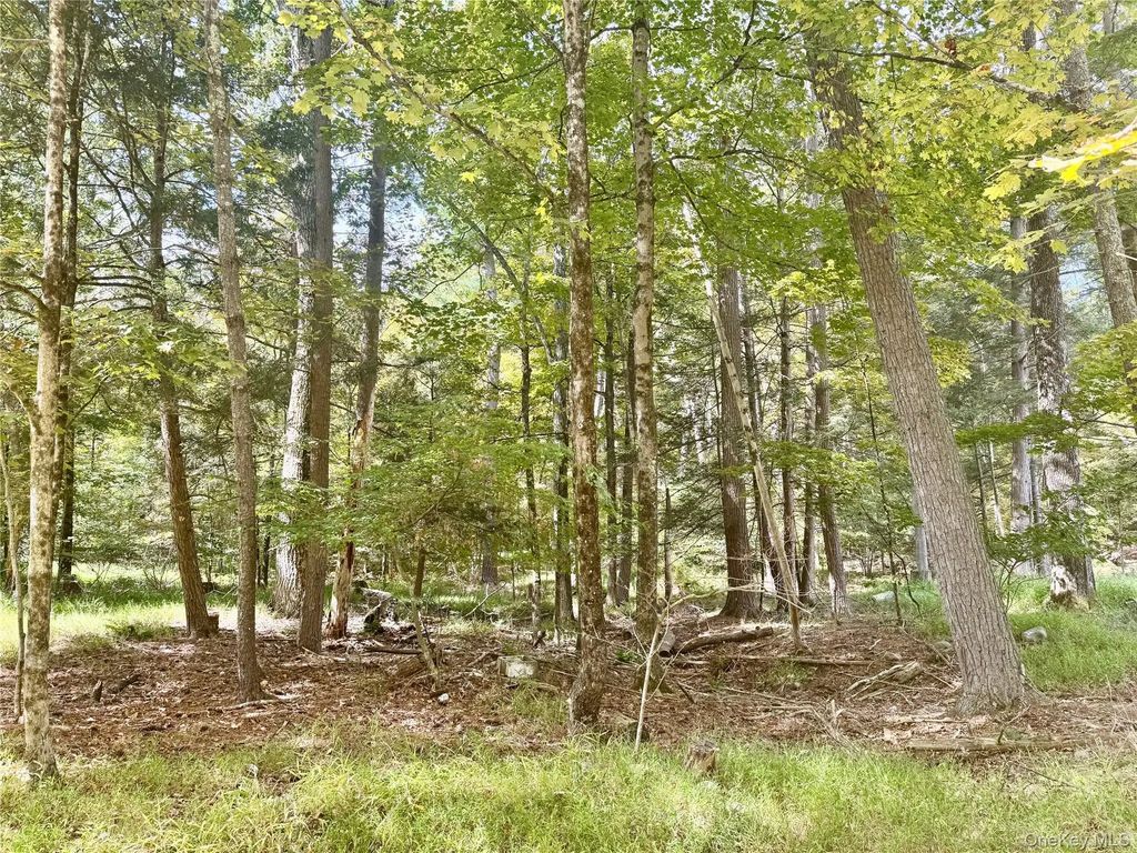 5 Trails, Cuddebackville