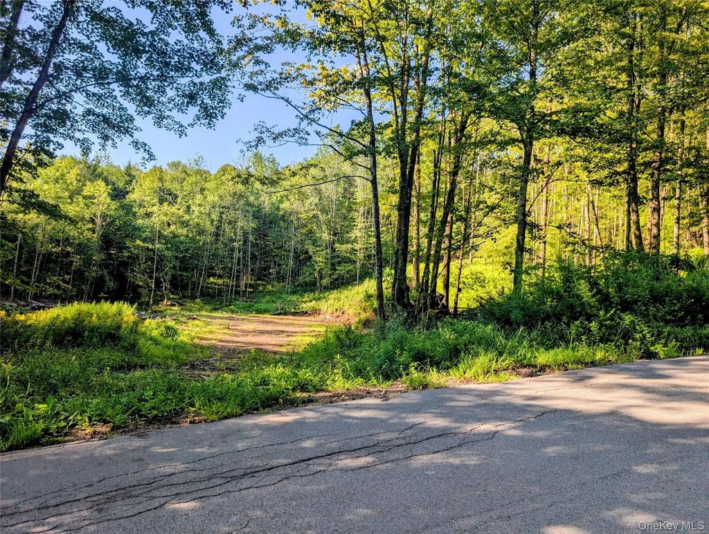 Hurd Road, Swan Lake