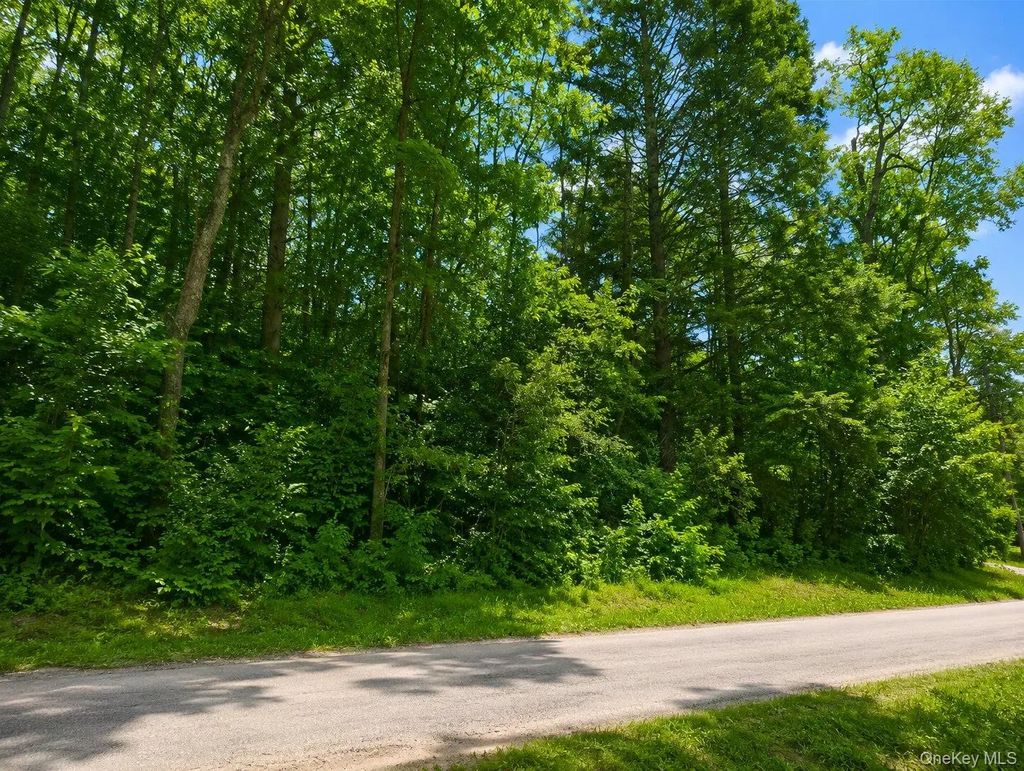 Benton Hollow Road, Neversink