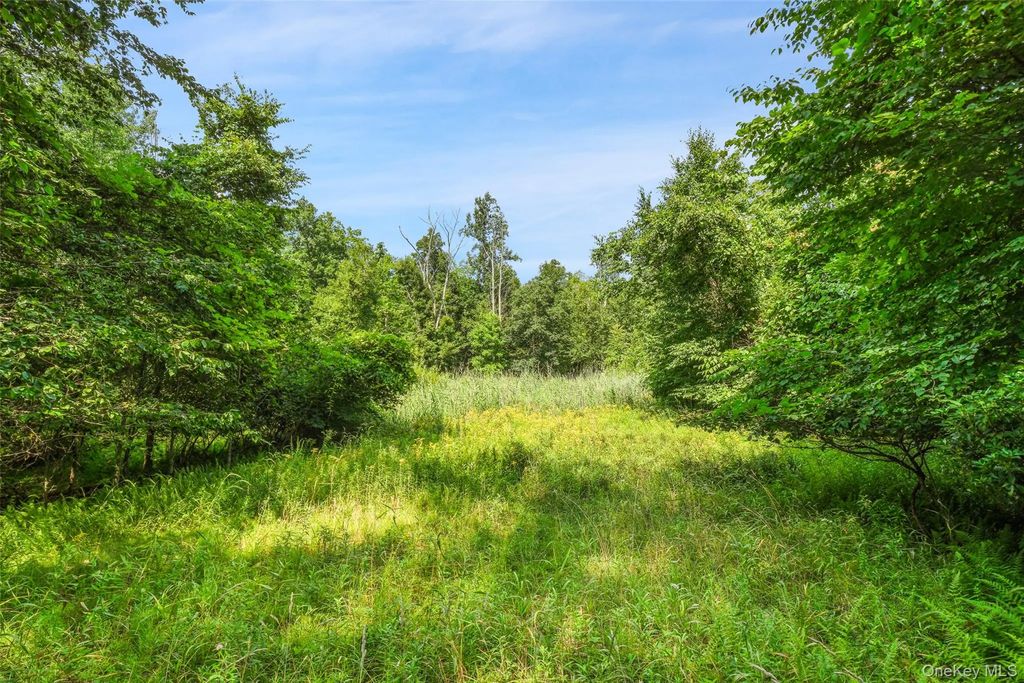 Oak Ridge Road, Ellenville