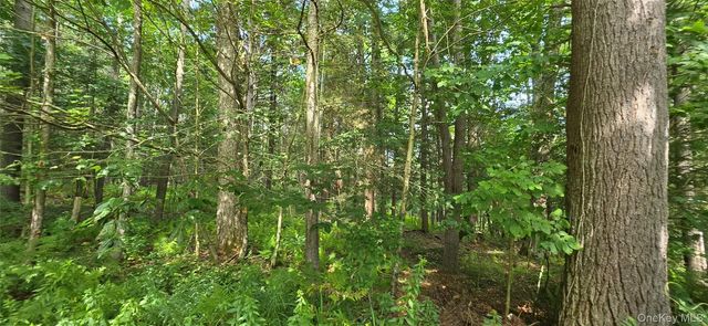 Lot 6 Nys 52, Narrowsburg
