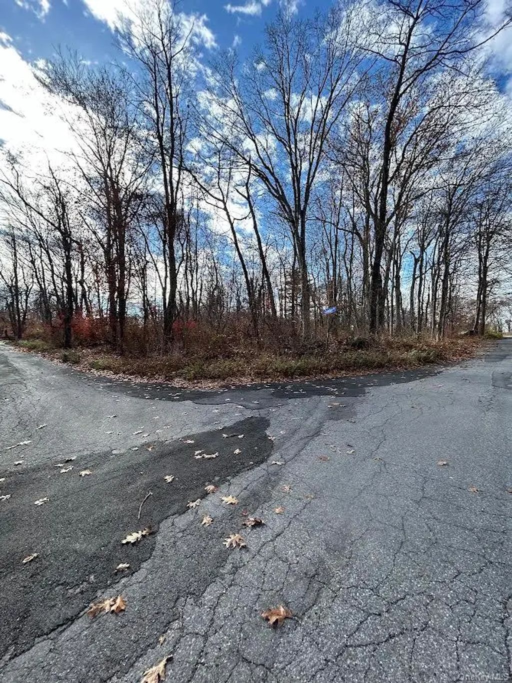 Anthony Road, Carmel