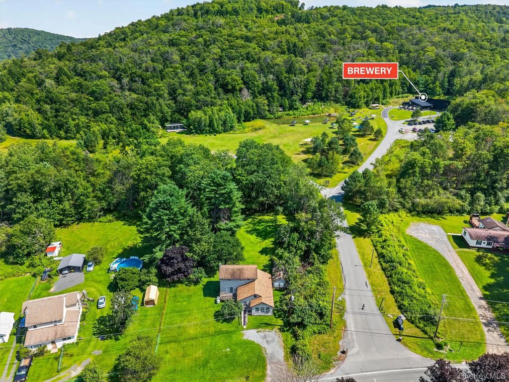 169 Main Street, Livingston Manor