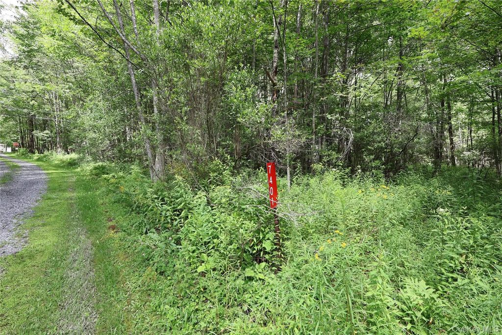 7401 Millbrook Road, Arkville