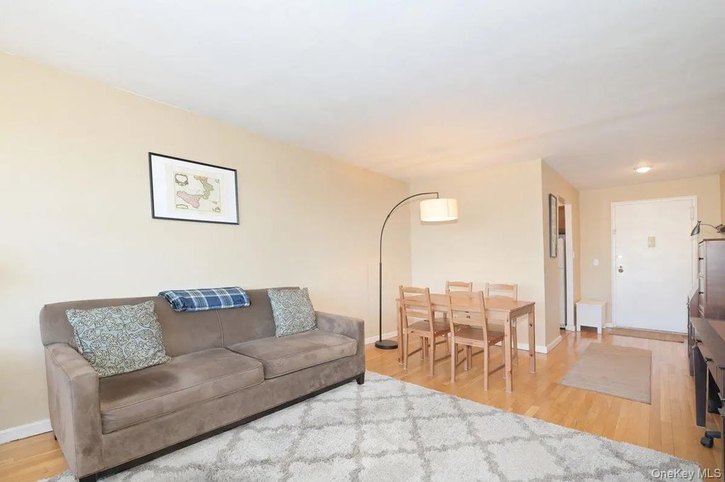 2 Birchwood Court #5h, Mineola