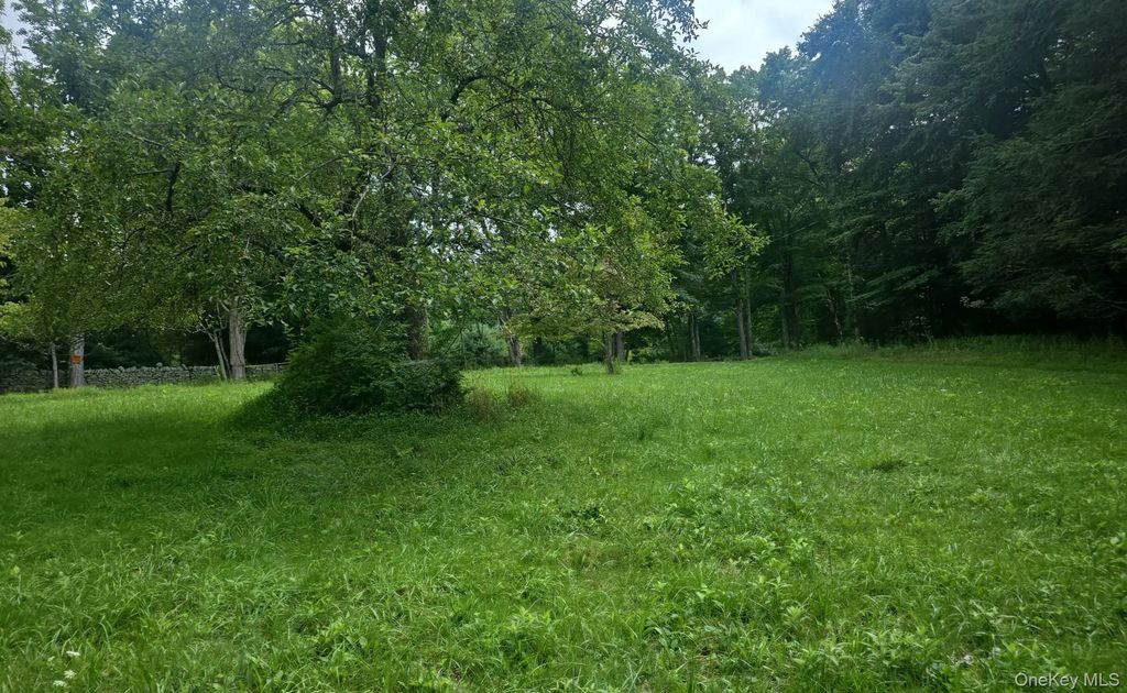 127 Old Cahoonzie Road, Port Jervis