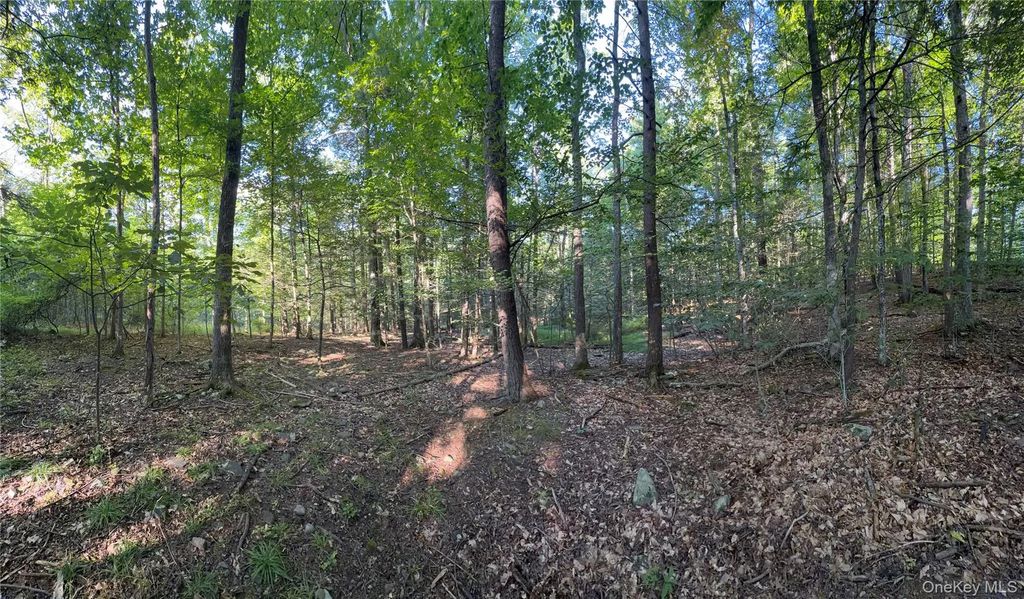 Hidden Court, Mount Tremper