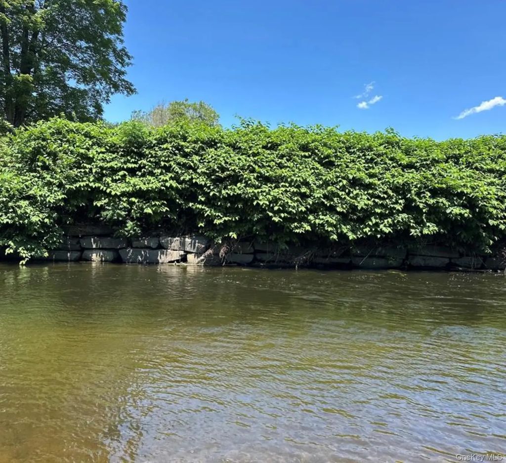 40 River Street # 2, Livingston Manor