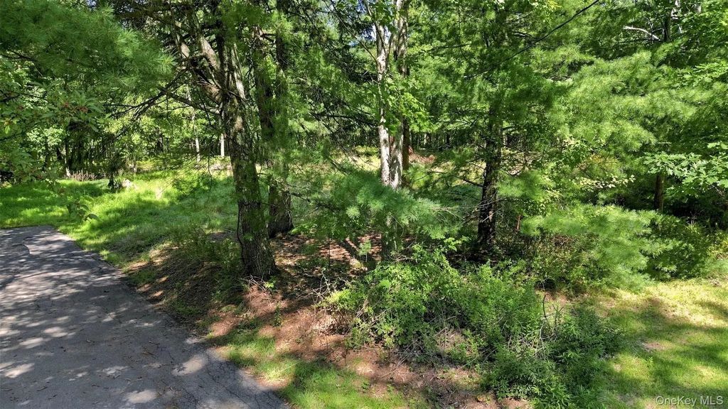 36 Spruce Street W, Wurtsboro
