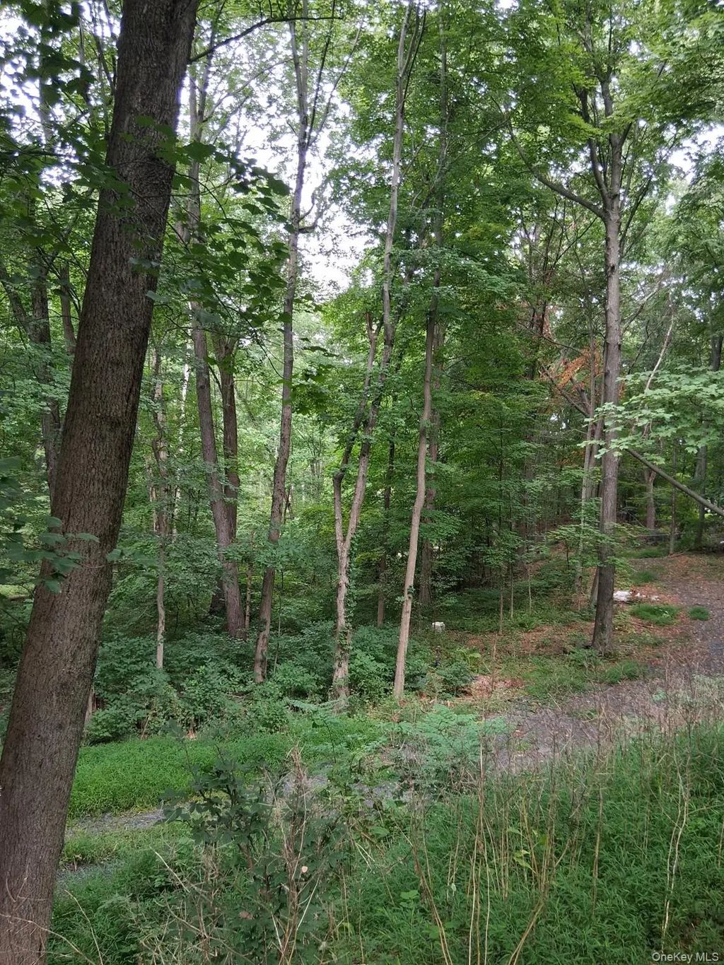 Museum Village Road, Monroe