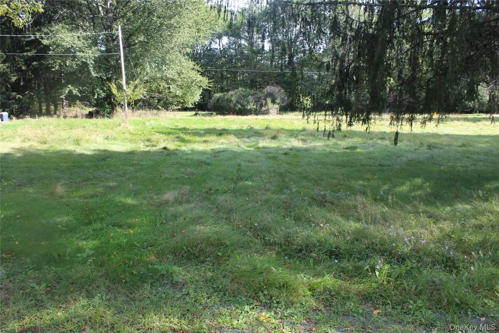 51 Wegman Road, Livingston Manor
