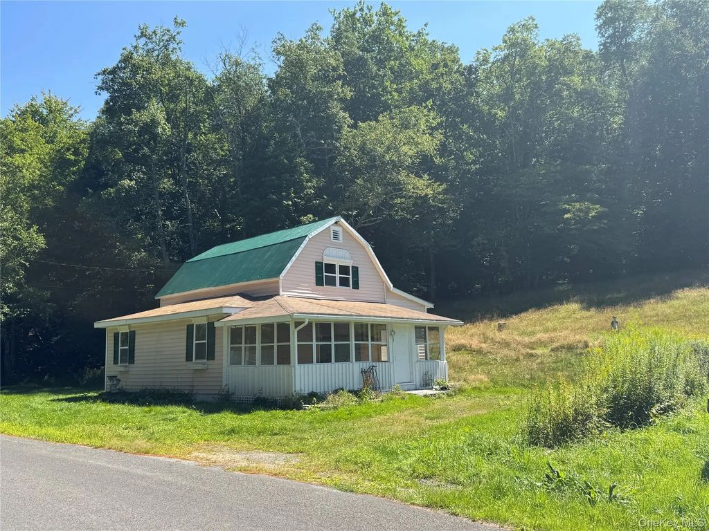 31 Willowemoc Road, Livingston Manor