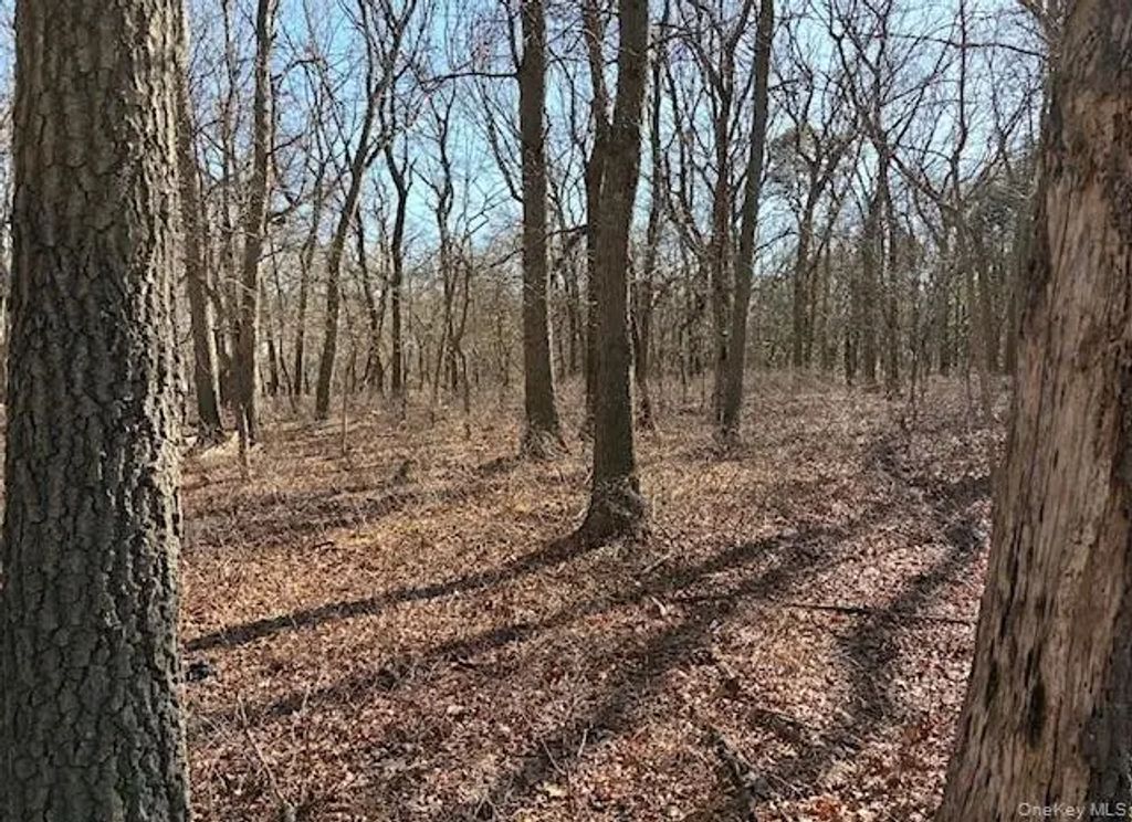 Woodlot Road, Ridge