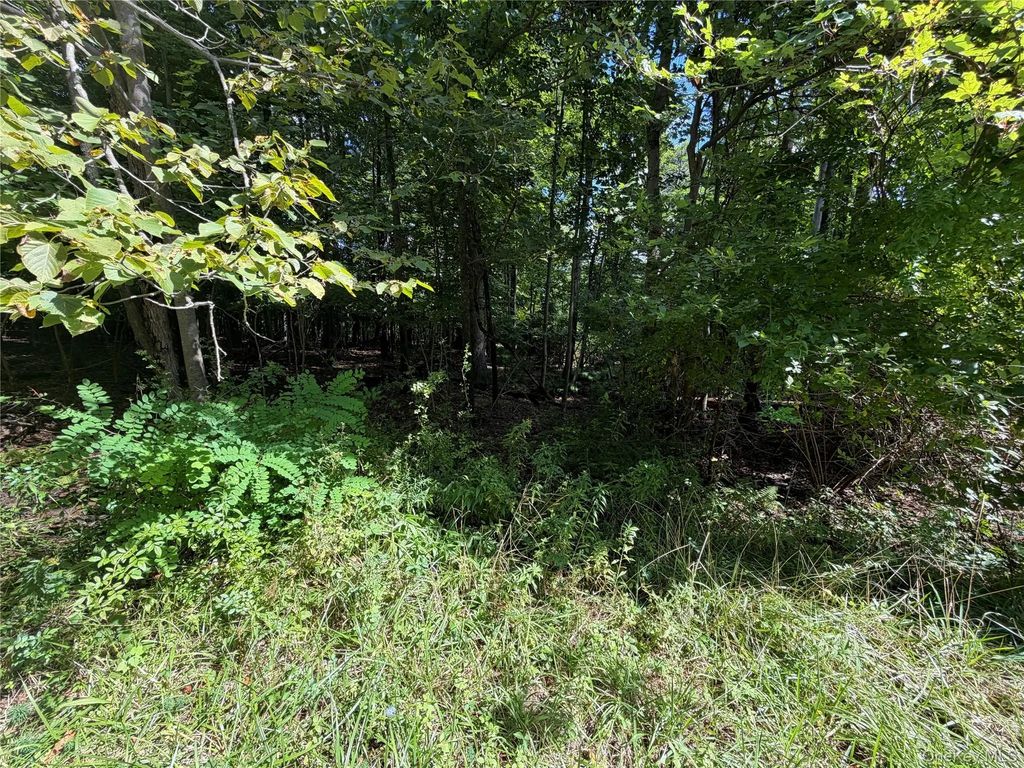 Lot 20.1 Mt Prosper Road, Wurtsboro