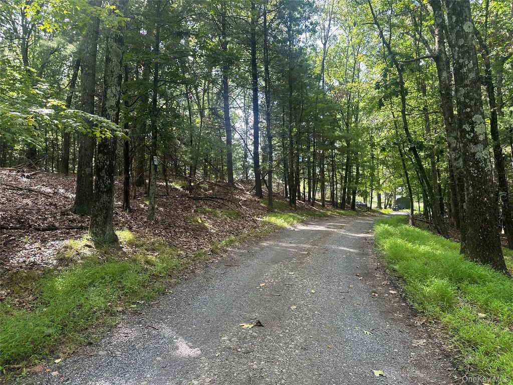 Cedar Drive, Elizaville
