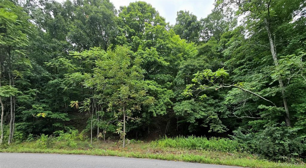 Edgemere Avenue, Greenwood Lake