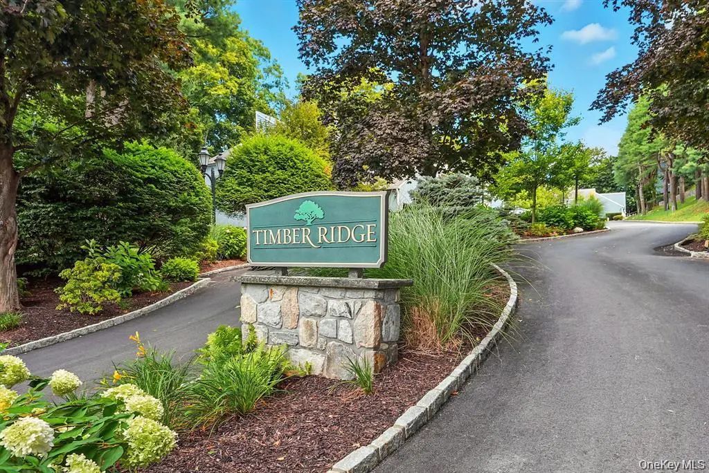 11 Timber Ridge # 11, Mount Kisco