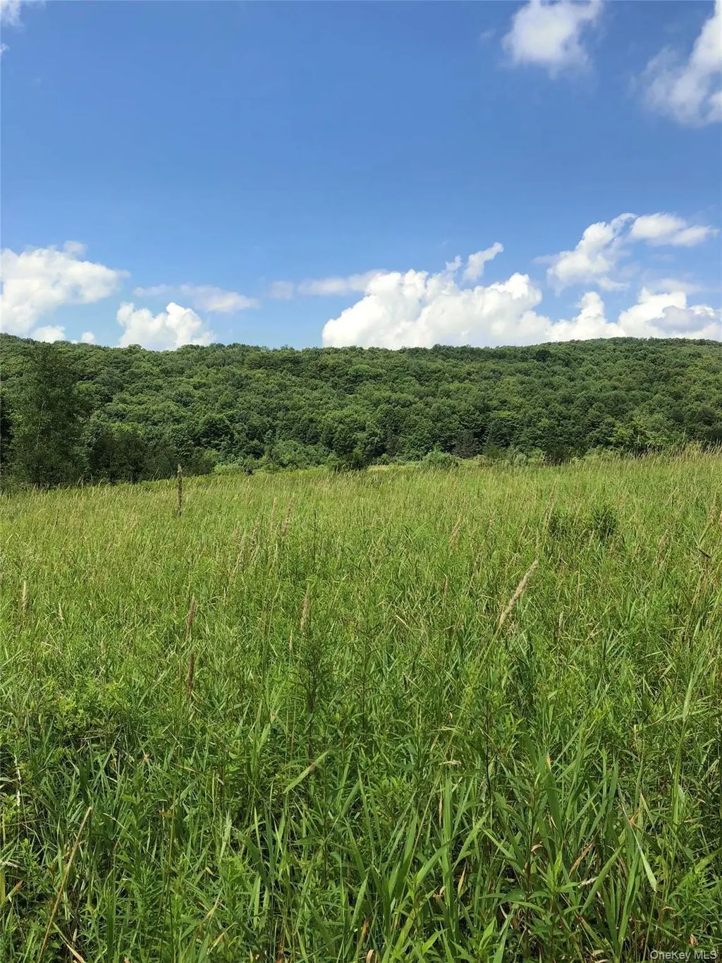 126 E Afton Road, Call Listing Agent