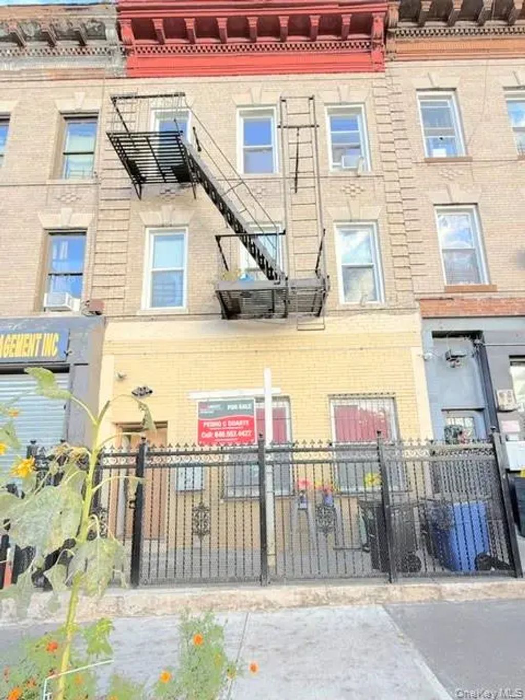 49 Buffalo Avenue, Brooklyn