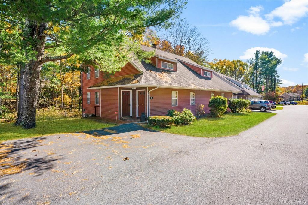 58 Mill # 7a, Hyde Park