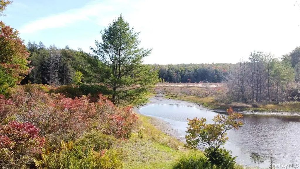 Seeman Road, Neversink