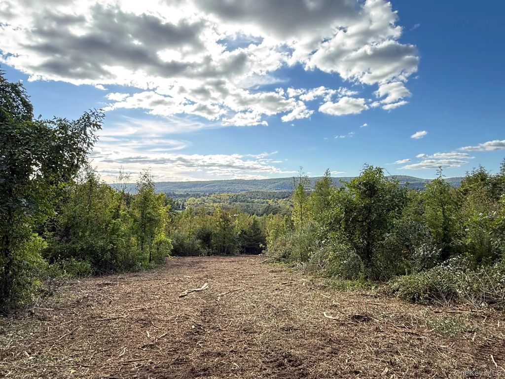 Lot # 11 Westerly Ridge Drive, Amenia