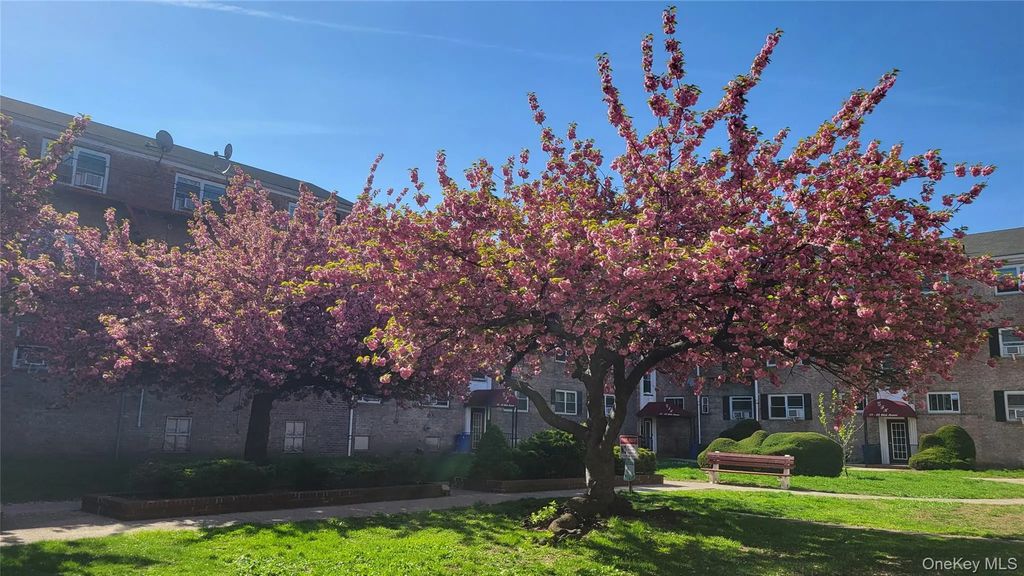 111-05 66 Avenue # 1b, Forest Hills