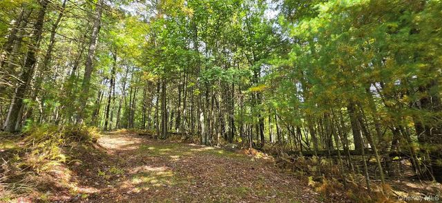 Lot 6.17 State Rt 97, Narrowsburg