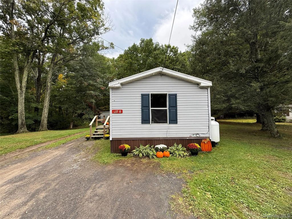 25 Fawn Road # 8, Saugerties