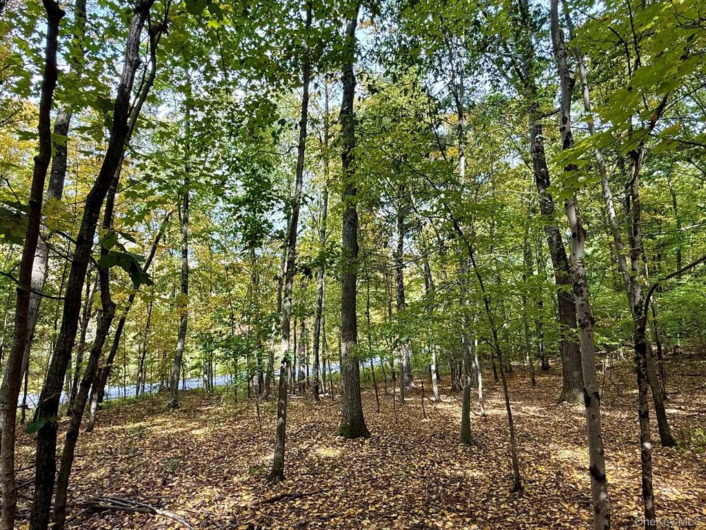 Fiddlers Bridge Rd., Staatsburg