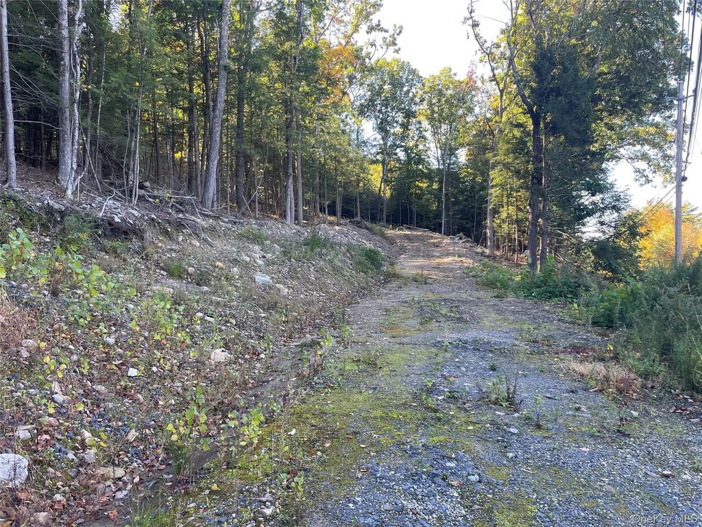 Mamakating Road, Wurtsboro