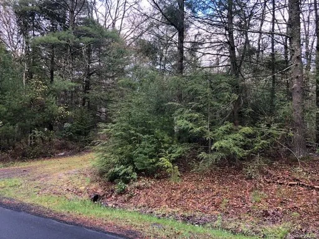 Crawford Road, Barryville