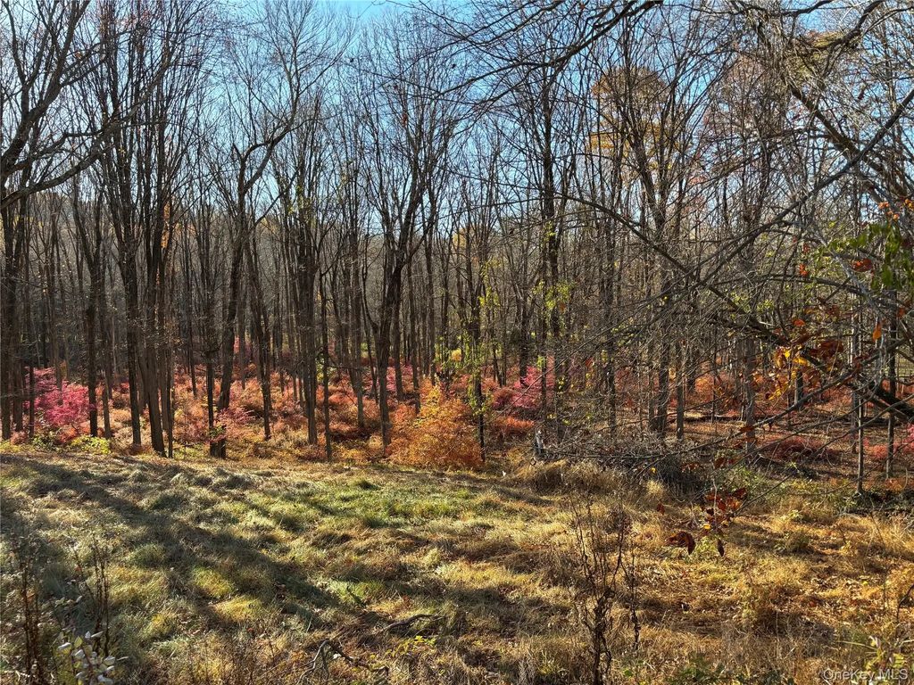 201 Long Ridge Road, Bedford