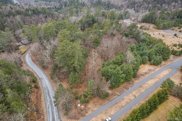 Lot 4 Marsh Road, Fallsburg