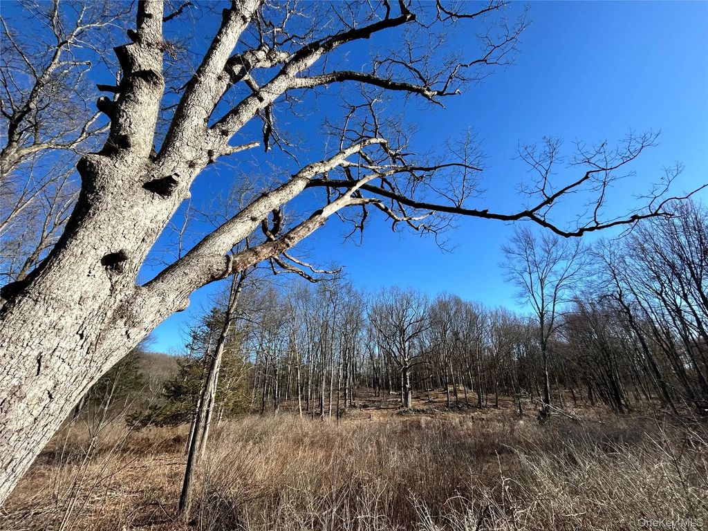 Rt-9g, Rhinebeck
