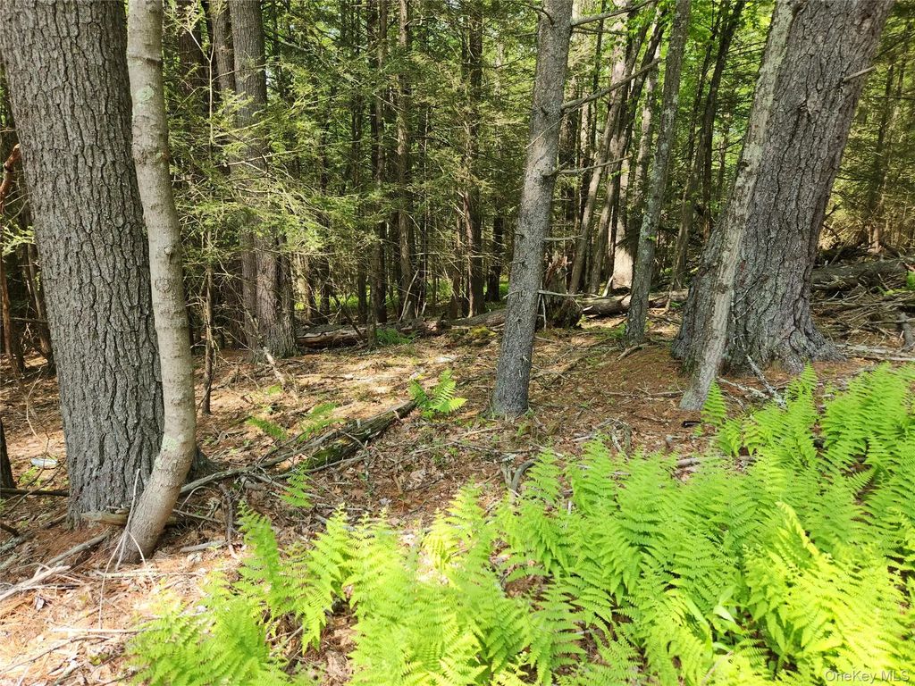 Highland Lake, Eldred